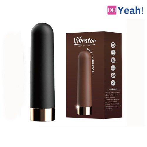 vibrator